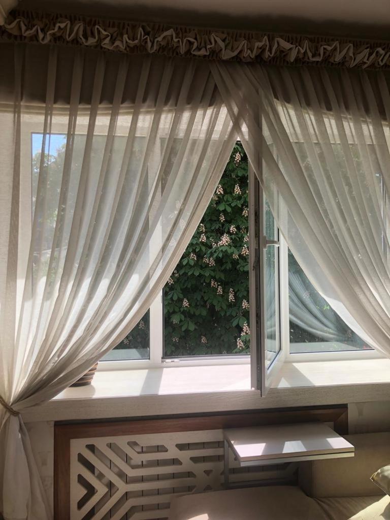 Cozy Studio Apartment In The Center Of 里加 外观 照片